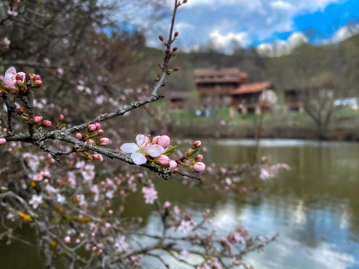 Ecokayan Dilijan Resort Hotel 외부 사진
