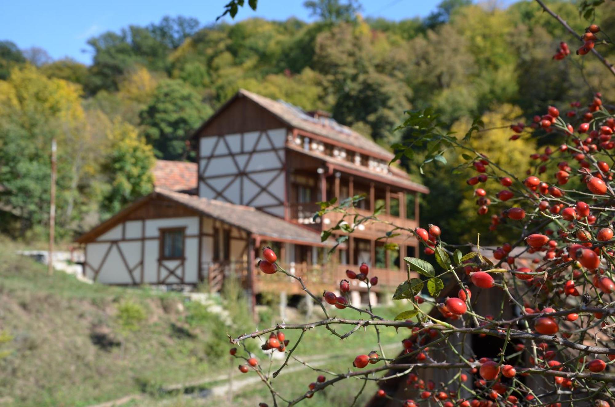 Ecokayan Dilijan Resort Hotel 외부 사진