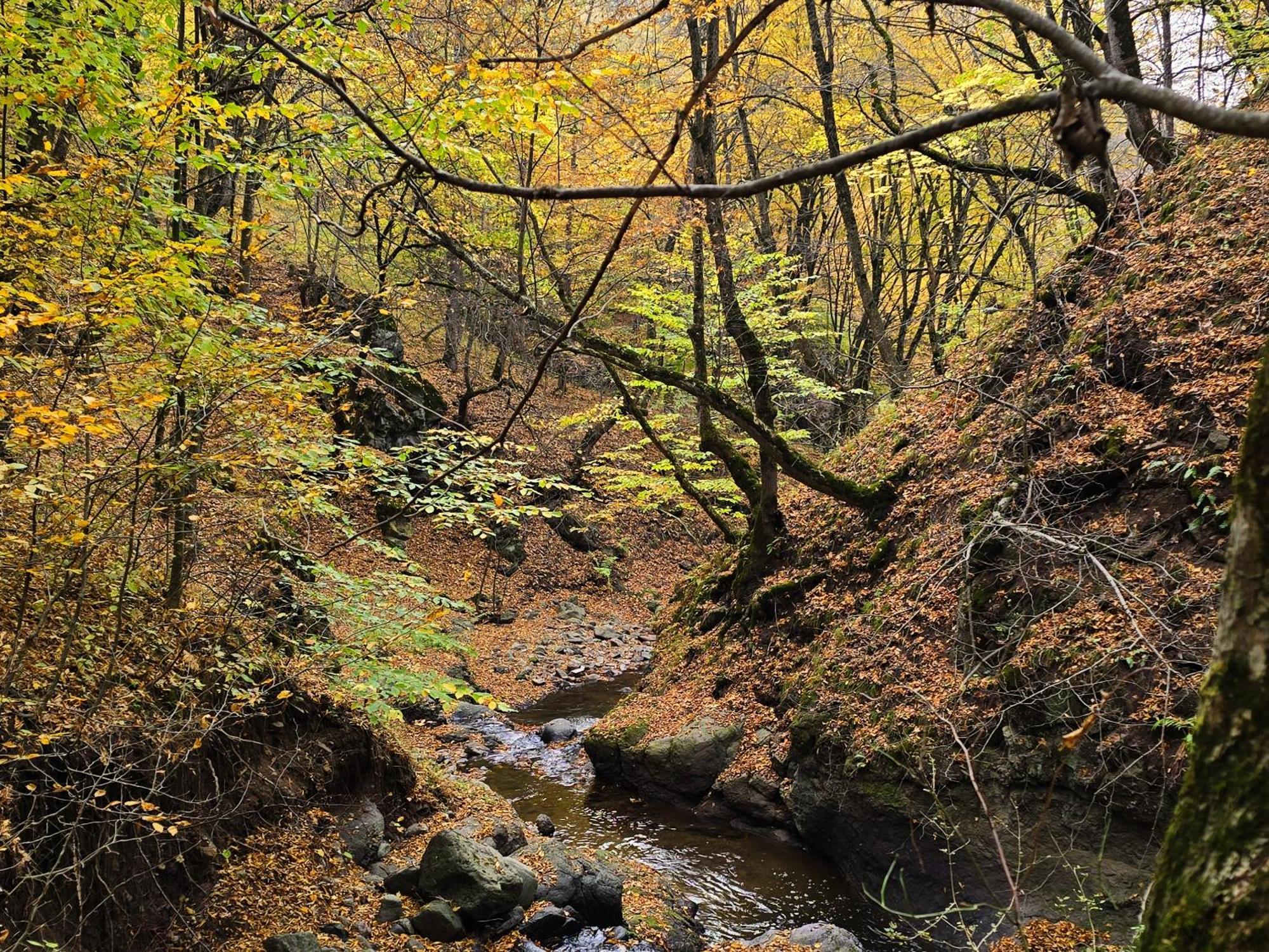 Ecokayan Dilijan Resort Hotel 외부 사진